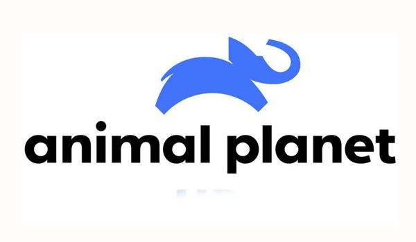 26 - Animal Planet